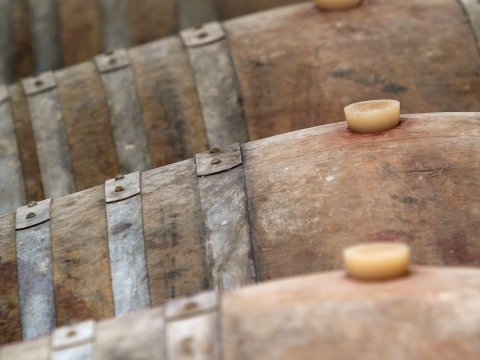 chateau dollieres 12
